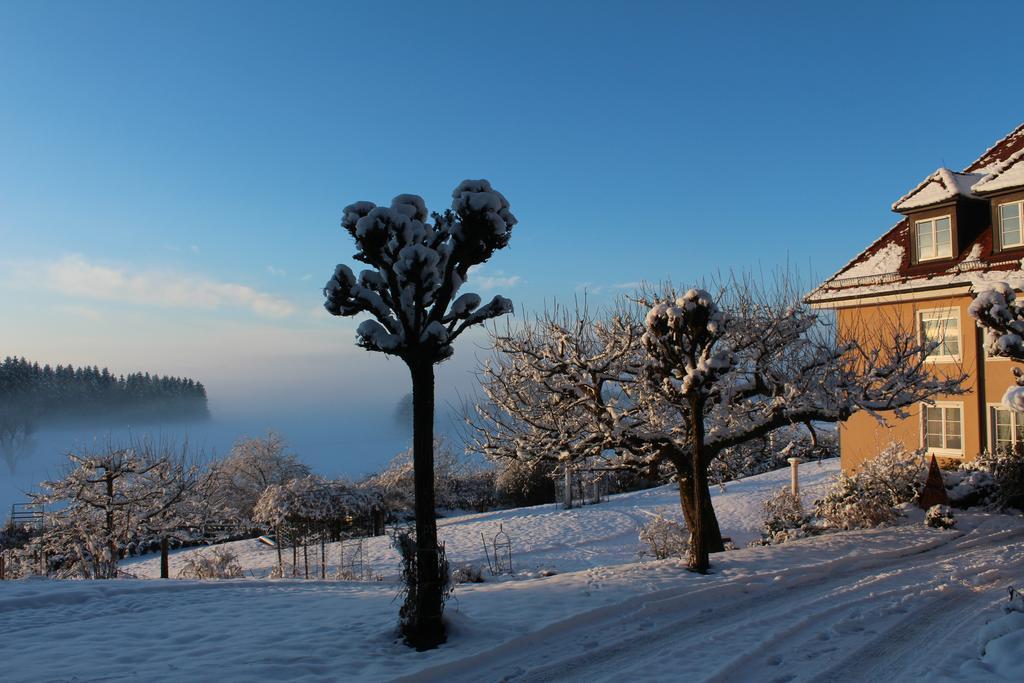 Gaestehaus Schloss Kronburg エクステリア 写真